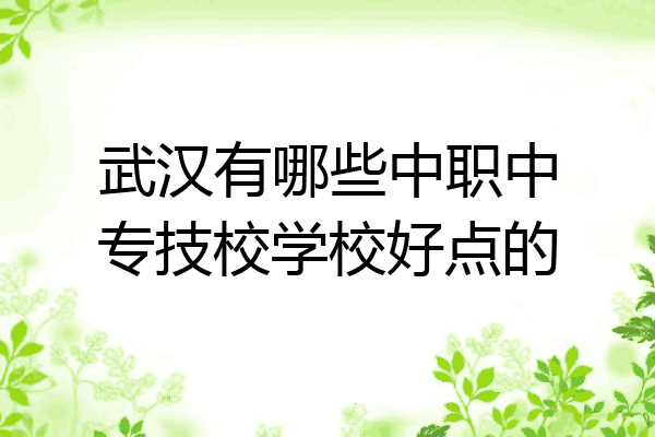 武汉有哪些中职中专技校学校好点的