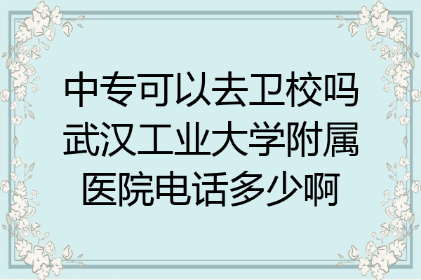 中专可以去卫校吗武汉工业大学附属医院电话多少啊