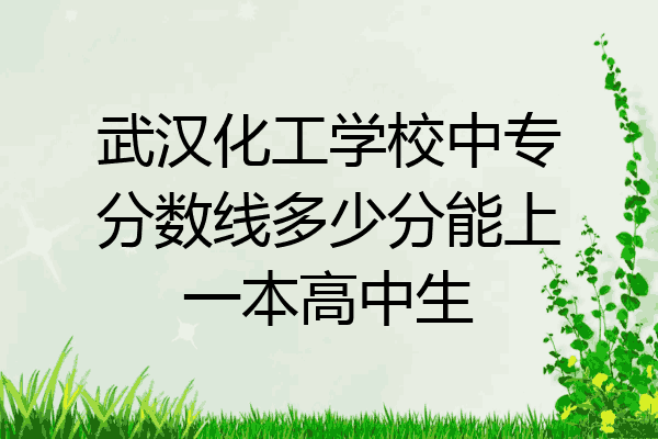 武汉化工学校中专分数线多少分能上一本高中生