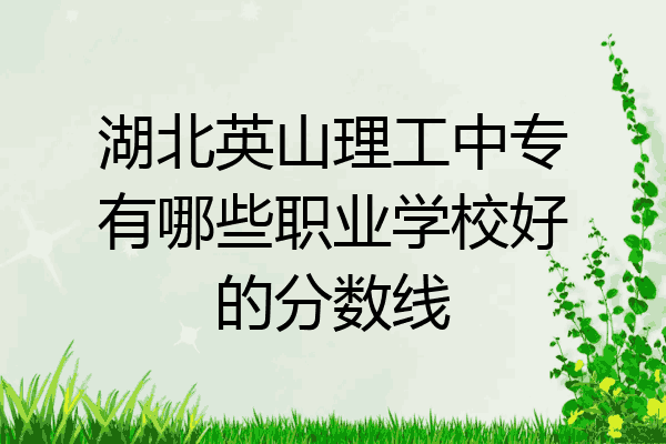 湖北英山理工中专有哪些职业学校好的分数线