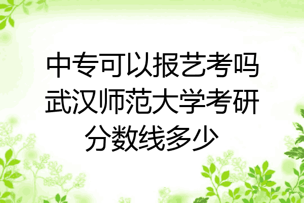 中专可以报艺考吗武汉师范大学考研分数线多少