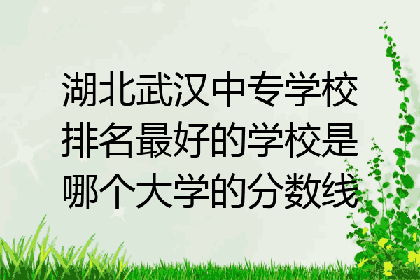 湖北武汉中专学校排名最好的学校是哪个大学的分数线