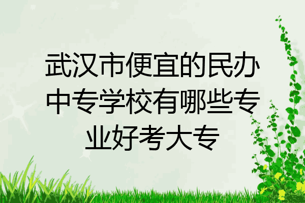 武汉市便宜的民办中专学校有哪些专业好考大专