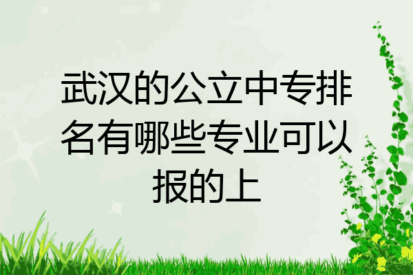 武汉的公立中专排名有哪些专业可以报的上
