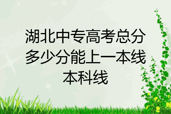 湖北中专高考总分多少分能上一本线本科线