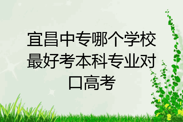 宜昌中专哪个学校最好考本科专业对口高考