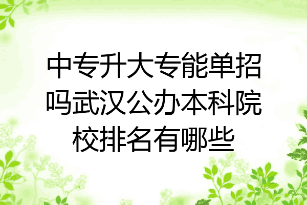 中专升大专能单招吗武汉公办本科院校排名有哪些