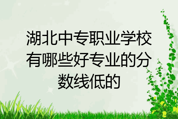 湖北中专职业学校有哪些好专业的分数线低的