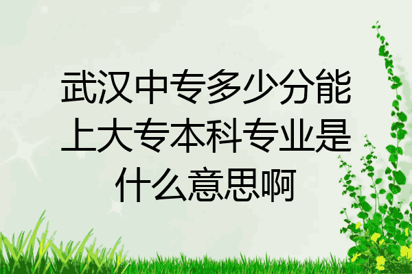 武汉中专多少分能上大专本科专业是什么意思啊