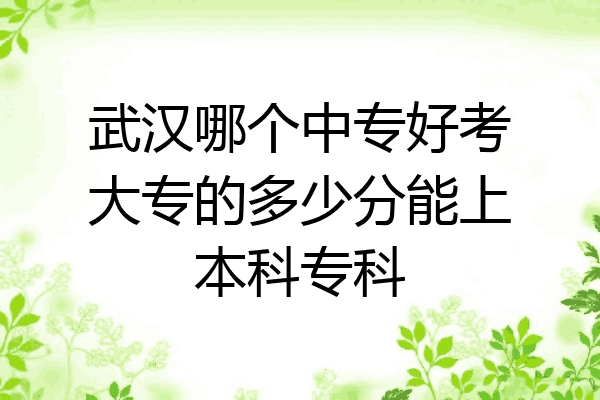 武汉哪个中专好考大专的多少分能上本科专科