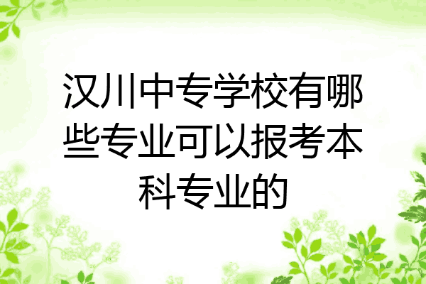 汉川中专学校有哪些专业可以报考本科专业的