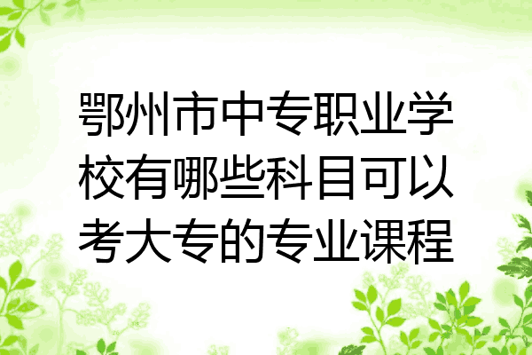 鄂州市中专职业学校有哪些科目可以考大专的专业课程