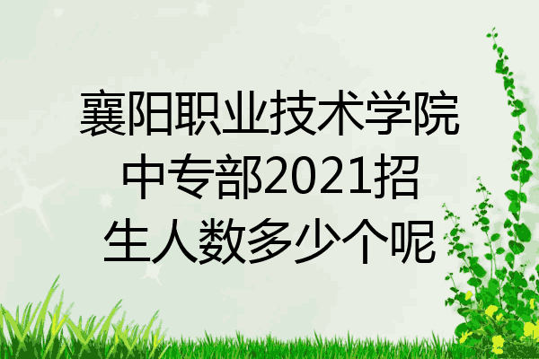 襄阳职业技术学院中专部2021招生人数多少个呢