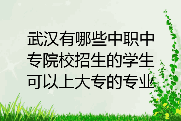 武汉有哪些中职中专院校招生的学生可以上大专的专业