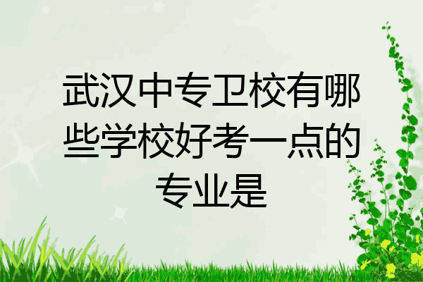 武汉中专卫校有哪些学校好考一点的专业是