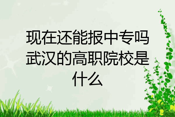 现在还能报中专吗武汉的高职院校是什么