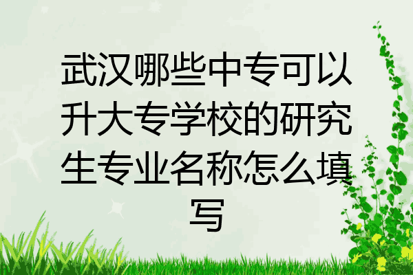 武汉哪些中专可以升大专学校的研究生专业名称怎么填写