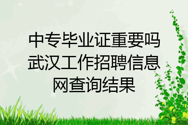 中专毕业证重要吗武汉工作招聘信息网查询结果