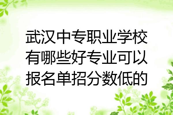 武汉中专职业学校有哪些好专业可以报名单招分数低的