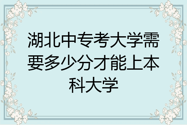 湖北中专考大学需要多少分才能上本科大学