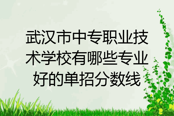 武汉市中专职业技术学校有哪些专业好的单招分数线