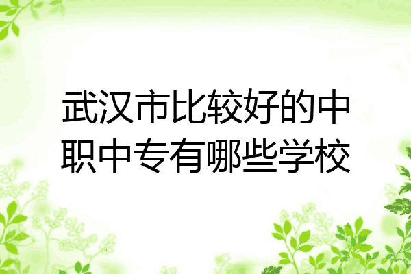 武汉市比较好的中职中专有哪些学校