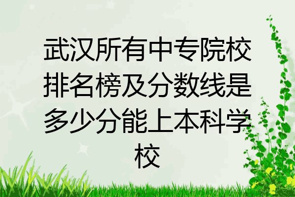 武汉所有中专院校排名榜及分数线是多少分能上本科学校