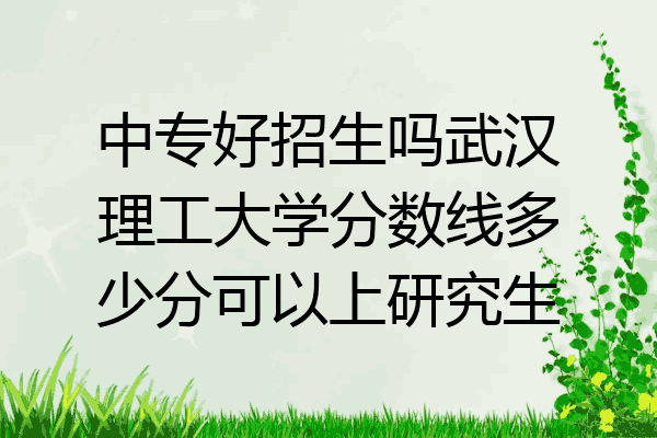 中专好招生吗武汉理工大学分数线多少分可以上研究生