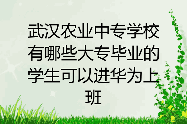 武汉农业中专学校有哪些大专毕业的学生可以进华为上班