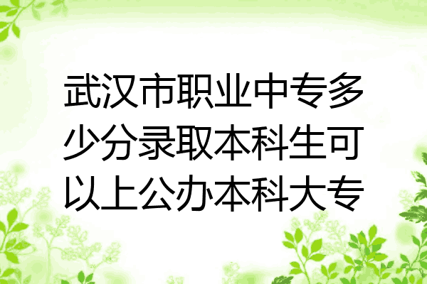 武汉市职业中专多少分录取本科生可以上公办本科大专