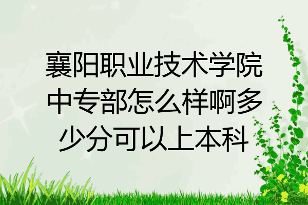 襄阳职业技术学院中专部怎么样啊多少分可以上本科