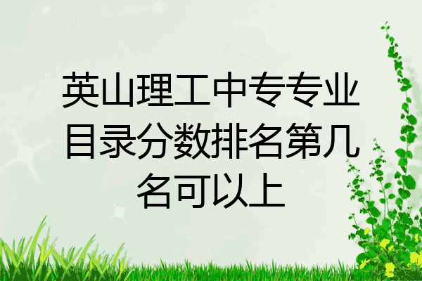 英山理工中专专业目录分数排名第几名可以上
