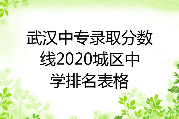 武汉中专录取分数线2020城区中学排名表格