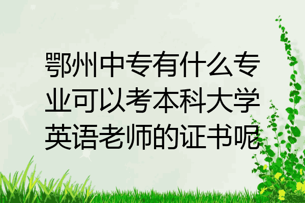 鄂州中专有什么专业可以考本科大学英语老师的证书呢