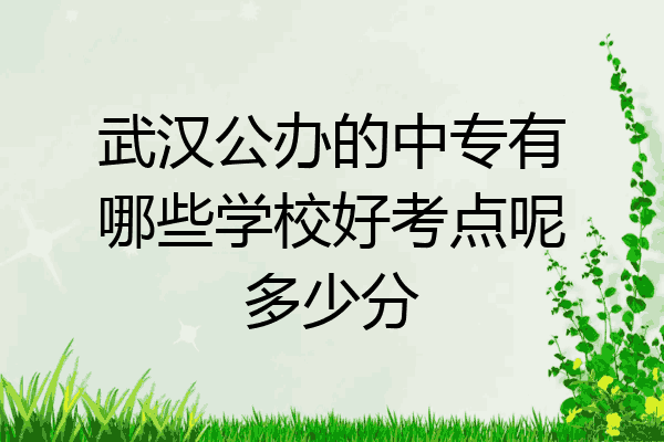 武汉公办的中专有哪些学校好考点呢多少分