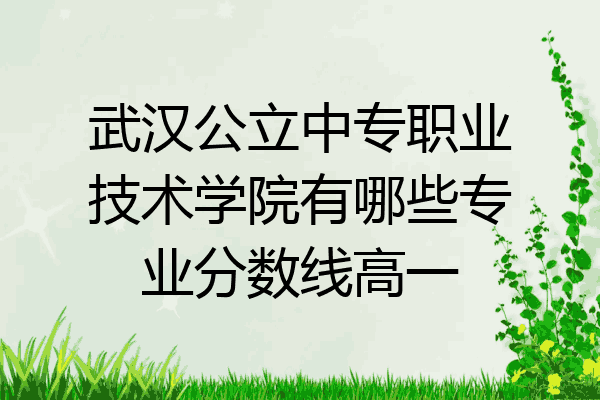 武汉公立中专职业技术学院有哪些专业分数线高一