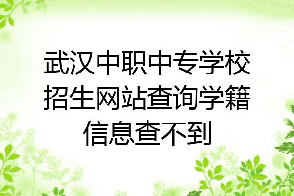 武汉中职中专学校招生网站查询学籍信息查不到