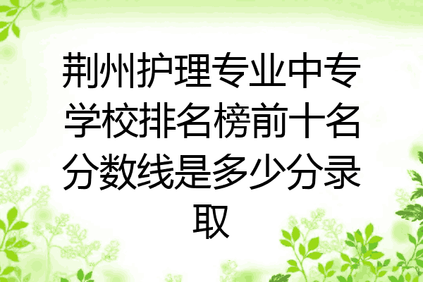 荆州护理专业中专学校排名榜前十名分数线是多少分录取