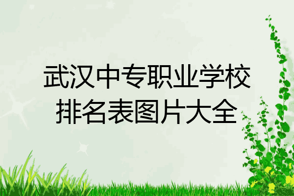 武汉中专职业学校排名表图片大全