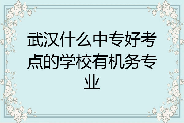 武汉什么中专好考点的学校有机务专业