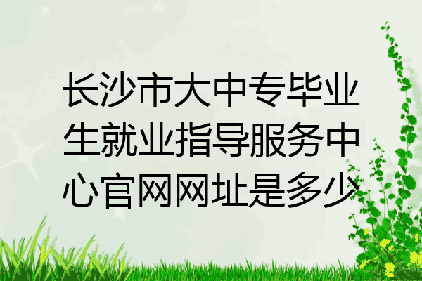 长沙市大中专毕业生就业指导服务中心官网网址是多少