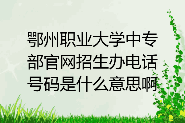 鄂州职业大学中专部官网招生办电话号码是什么意思啊