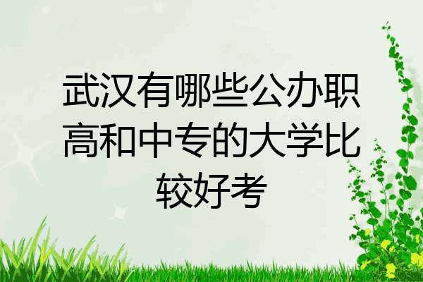 武汉有哪些公办职高和中专的大学比较好考