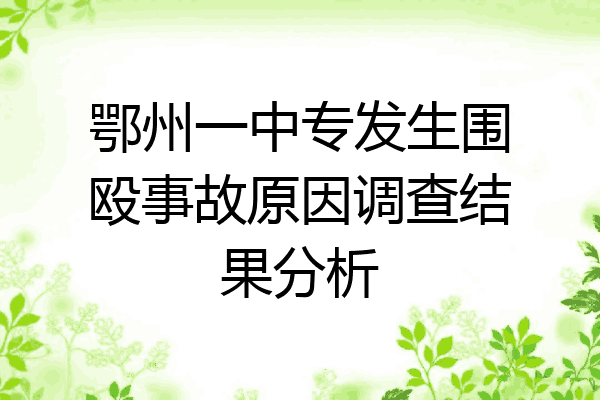 鄂州一中专发生围殴事故原因调查结果分析