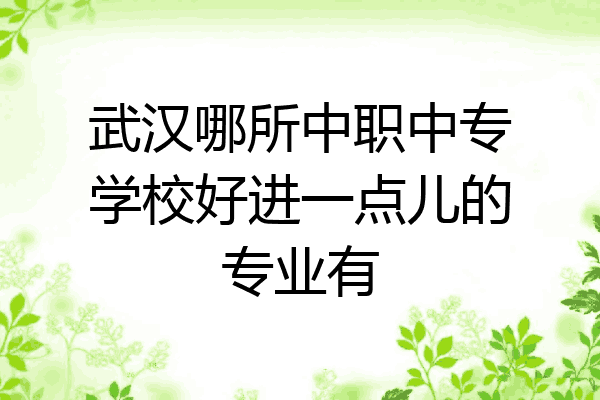 武汉哪所中职中专学校好进一点儿的专业有
