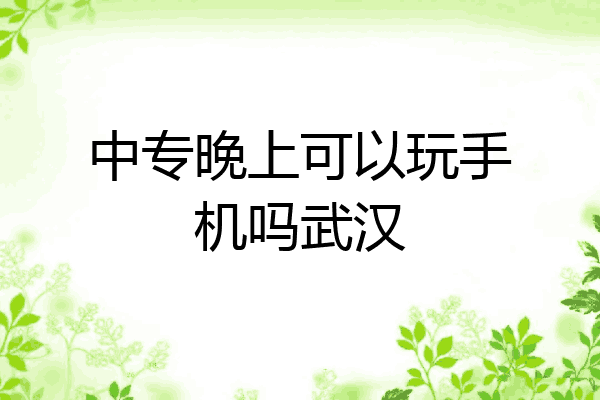 中专晚上可以玩手机吗武汉