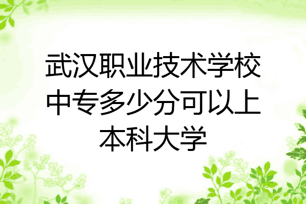 武汉职业技术学校中专多少分可以上本科大学
