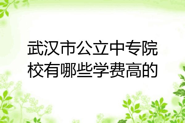 武汉市公立中专院校有哪些学费高的