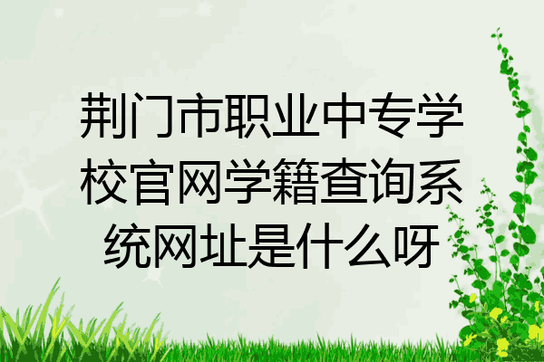 荆门市职业中专学校官网学籍查询系统网址是什么呀