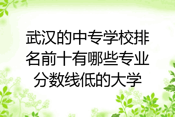 武汉的中专学校排名前十有哪些专业分数线低的大学